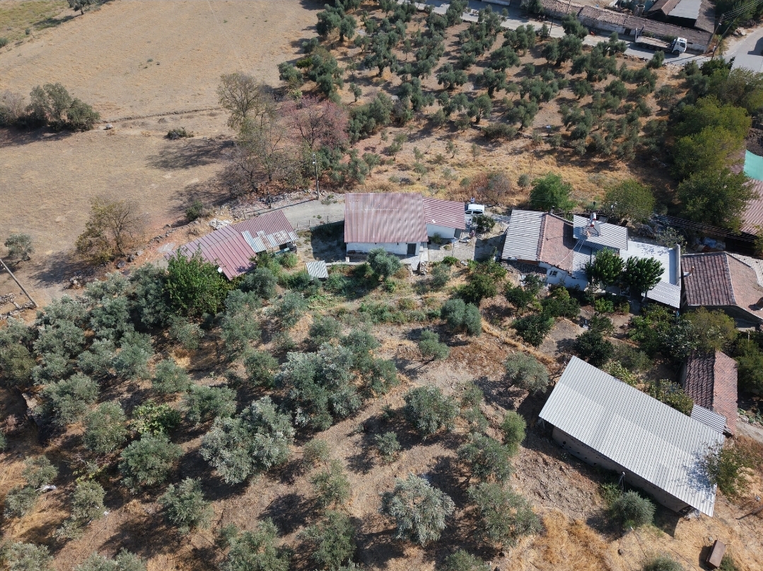 Aydın Yenipazar’da Geniş Arsasıyla Masrafsız Müstakil Yaşam